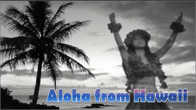 Illustrator Hawaii Poster